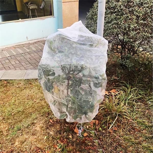 Hage Mesh Netting Beskyttelse Netting H3,3 X B2,6 FT H3.3 x W2.6 Ft