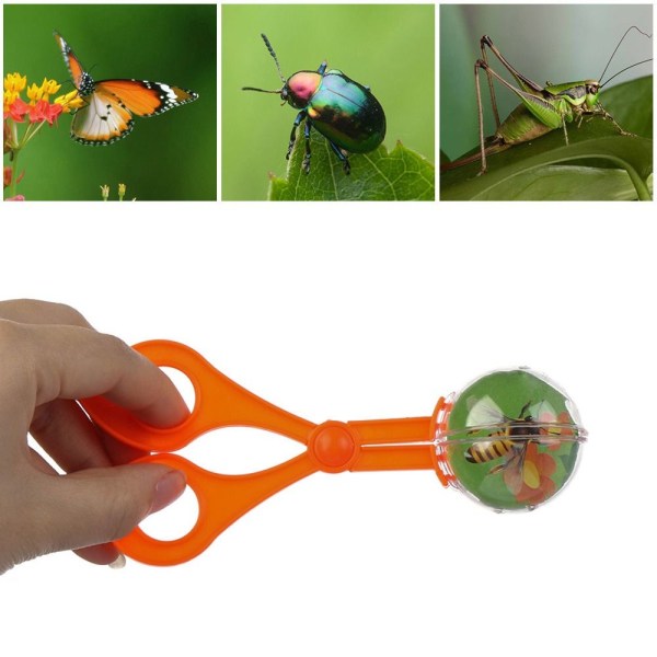 Bug Catcher Insektsaks GRØNN S Green S