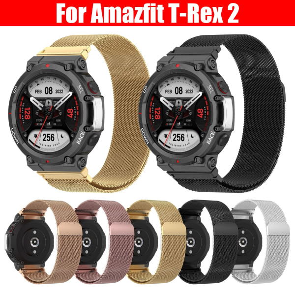 Metallurband för Amazfit T-Rex 2 armbandsrem silver