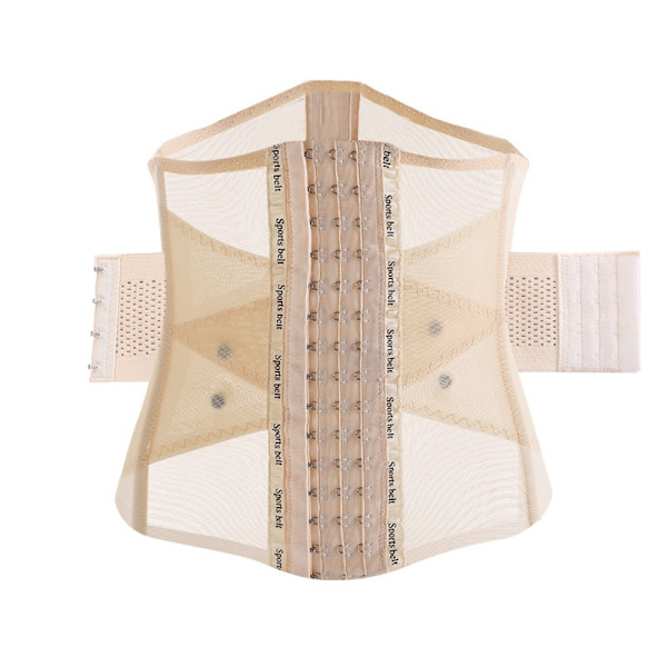 Shaper Waist Trainer Belly Waist Trainer BEIGE L beige L