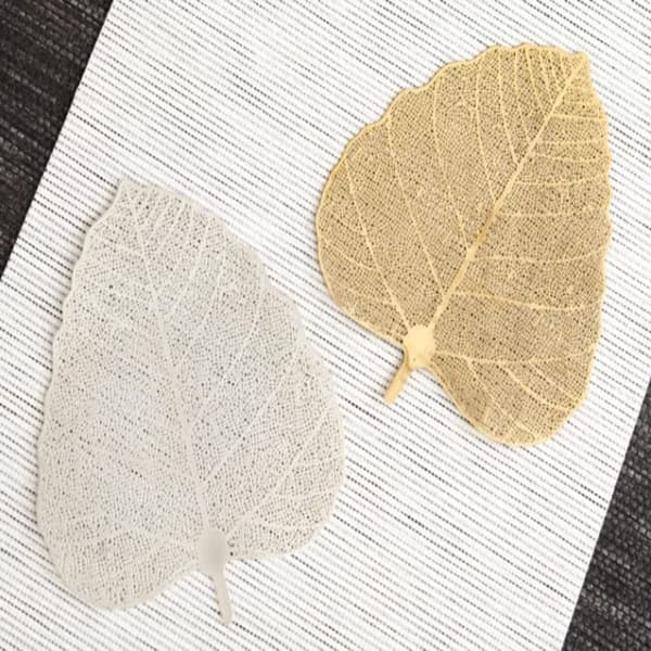 2stk Løsblad te Brattere te Steeper teinfuser