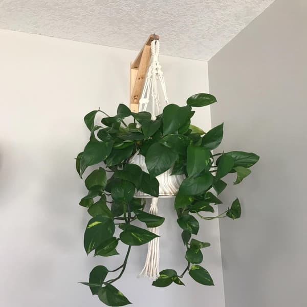 4 Pak Hyldebeslag L Beslag Sconce Bracket
