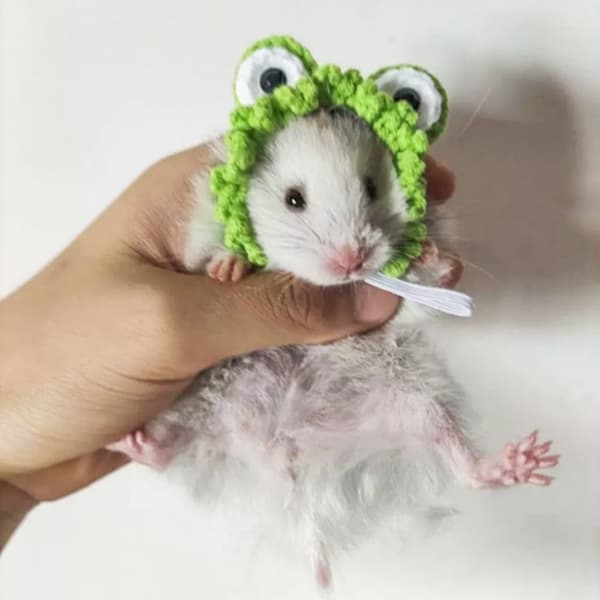 Pet Caps Pet Supplies TYPE A TYPE A Type A