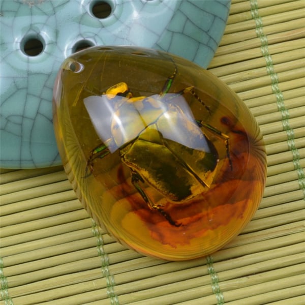 Sommerfugl Amber Stone Insekt Spcimen Anheng BETLE BEETLE beetle