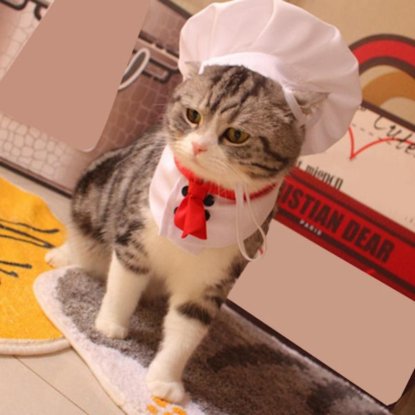 Cat Chef Hat Set Lemmikkien ruoanlaitto King Hat S S