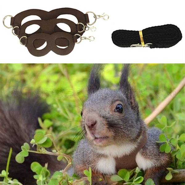 3st Hamster Bröstband Squirrel Leash Dragrep SVART Black