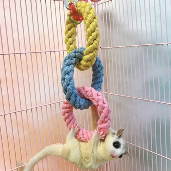 Klätterrepsleksaker Hamsterleksak BLÅ Blue