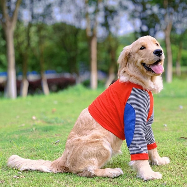 Hundkläder Pullover Kläder 8XL 8XL