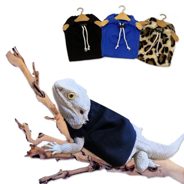 Lizard Kläder Lizard Kläder Kopel Mössor BLÅ Blue