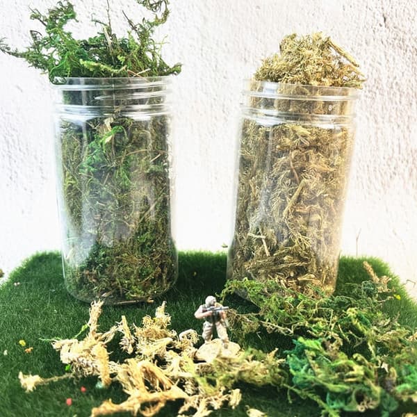 1 æske simulerede buskmos miniature statiske planter GRØN green