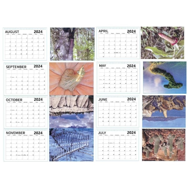 Nature's Dicks -kalenteri 2024 seinäkalenteri Hauska kalenteri