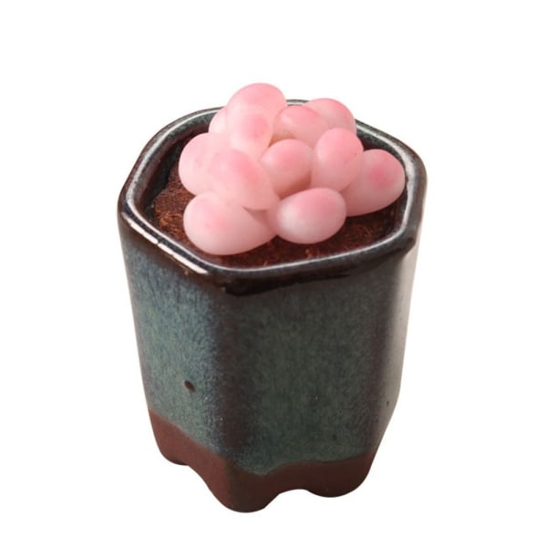Dollhouse Succulent Bonsai Miniature Plant Potted 6 6 6