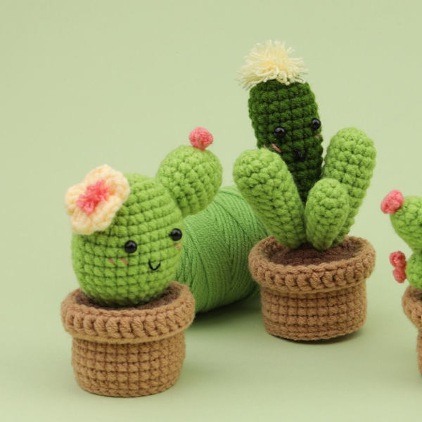Hæklesæt til begyndere Cactus-hæklesæt E E E