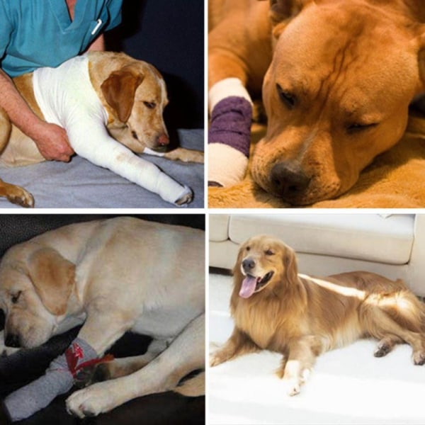 1 Set Hundbandage Ben Knästöd XL XL