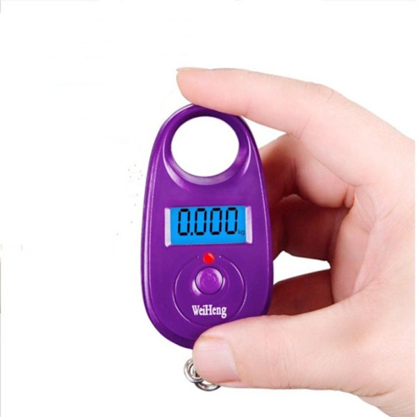 Mini Digital Scale Matkatavaravaaka PUNAINEN red