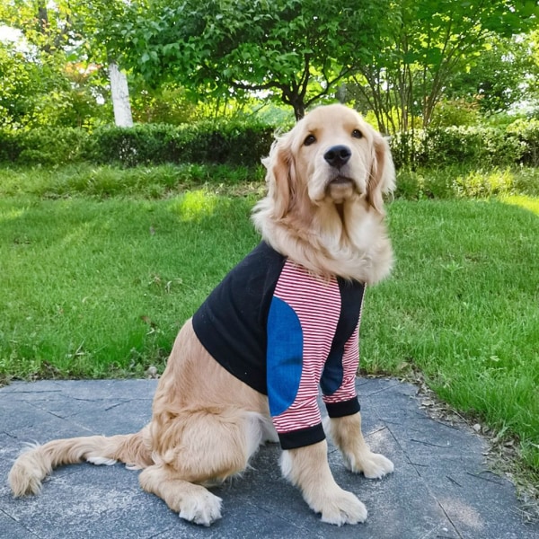 Hundkläder Pullover Kläder 4XL 4XL