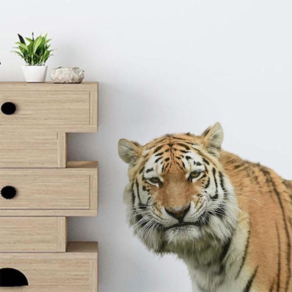 3D Tiger -seinätarra Vivid Tiger Decals 5 5 5