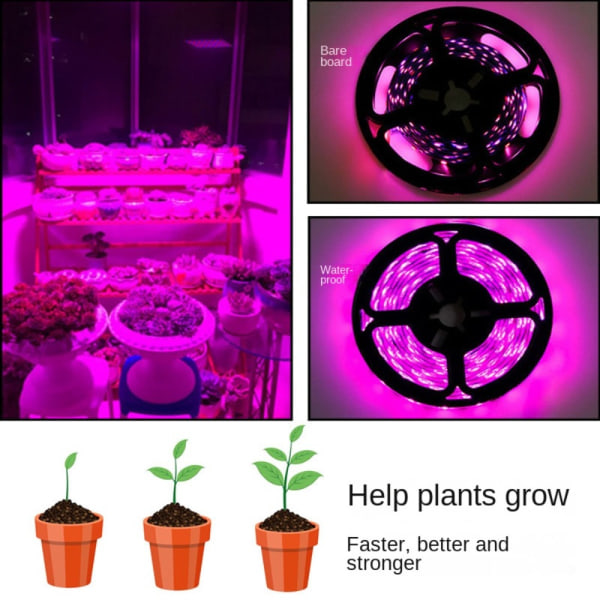 Phytolamp For Plant Plant Growth Light 2M 2M