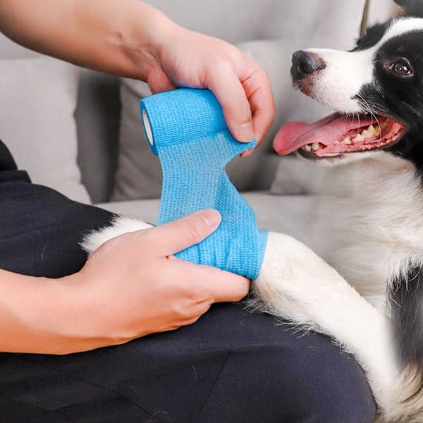 Elastisk bandage sport wrap tape 03 03 03
