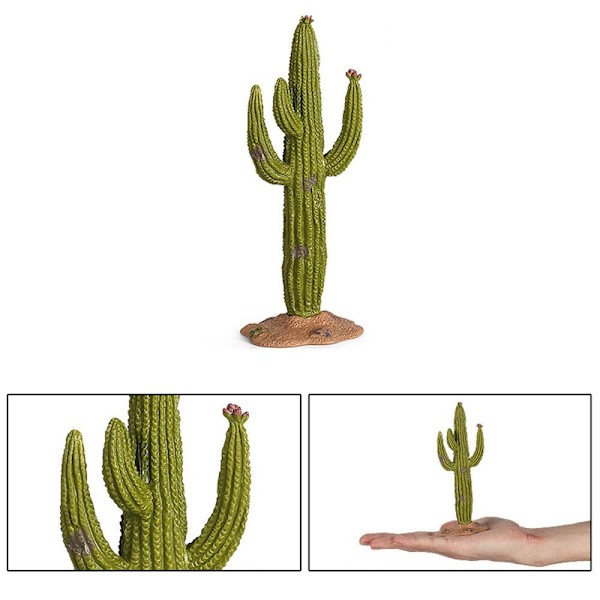 Artificial Cactus Models Miniature Fruit Tree 6 6 6