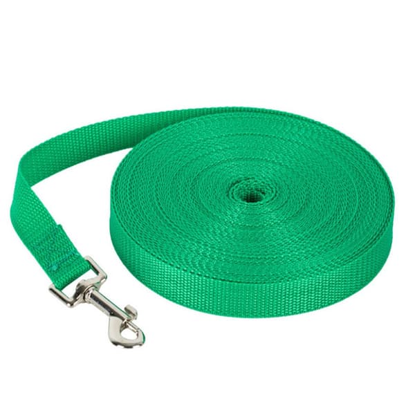 Blyband hundkoppel dragrep Blue 6m
