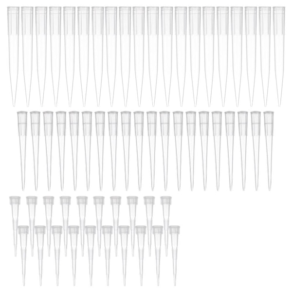 60 kpl kukkapidike Kukkaputken säiliö 60Pcs