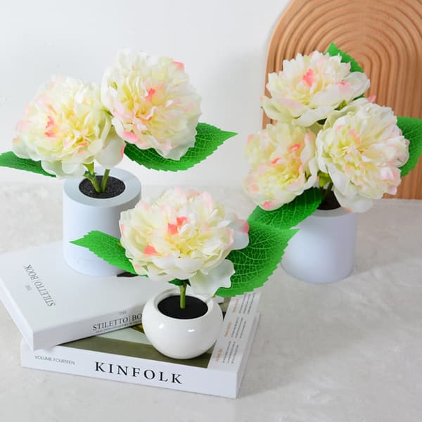 Led Peony Night Light Night Light 2 2 2