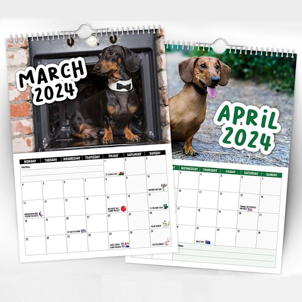 2024 Cheeky Dachshunds Kalender Vægkalender Hængende Kalender
