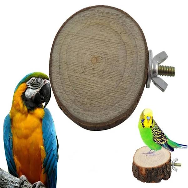 Bird Abborre Stand Pet Platform 12-16CM 12-16cm