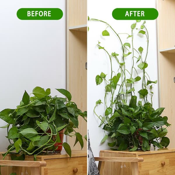 Veggplante Klips M-10 STK M-10pcs