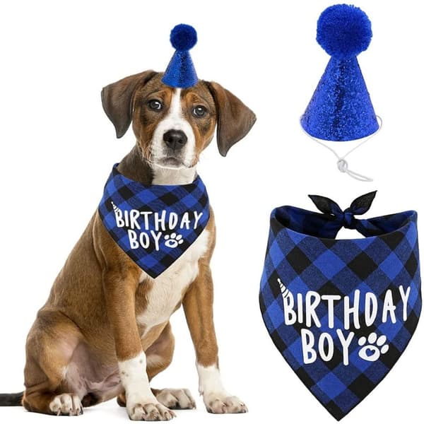 Hundebursdagsdekorasjon Pet Hat BLÅ blue
