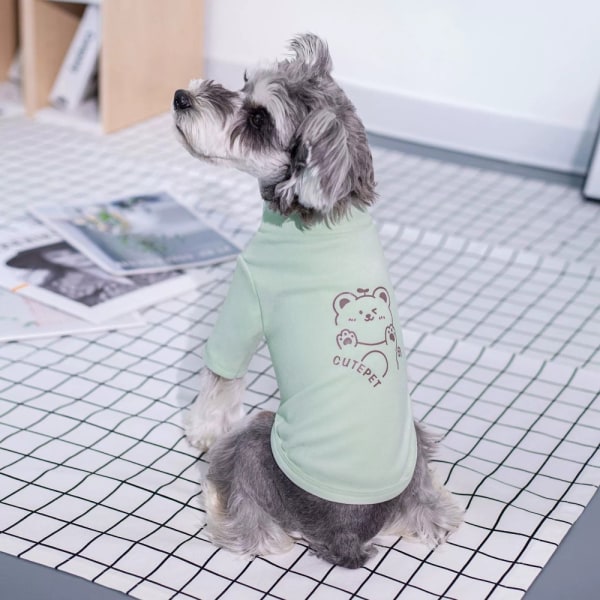 Velvet Pet To-benet Tøj Trykt Bjørn Hunde Sweater SKY Sky Blue L