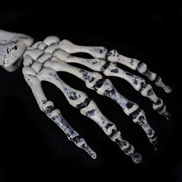 Halloween Decoration Props Simulation Skeleton Hand Bone SKULL Skull Hand