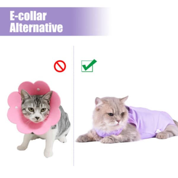 Pet Suit LILA M purple M