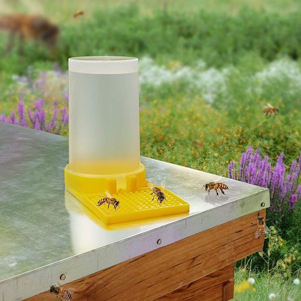 Bee vanding Station Bier Feeder Bee Waterer