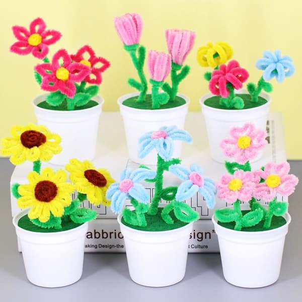 2 st sköldpaddsblomma i krukväxt 2 2 2