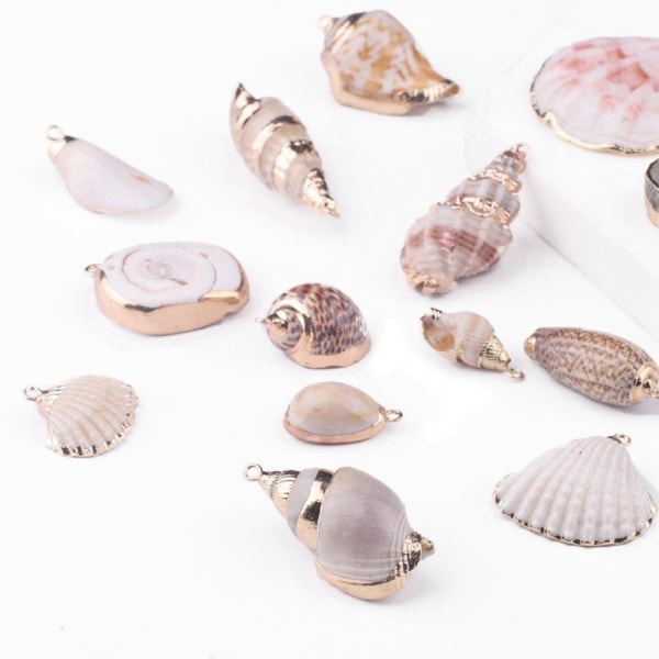 20st naturliga vita Cowrie Seashells Charm Conch Shells
