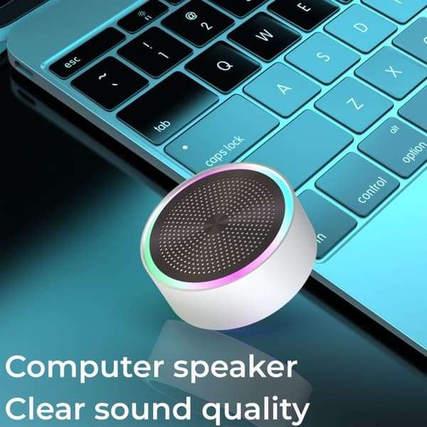 Högtalare Audio SILVER Silver