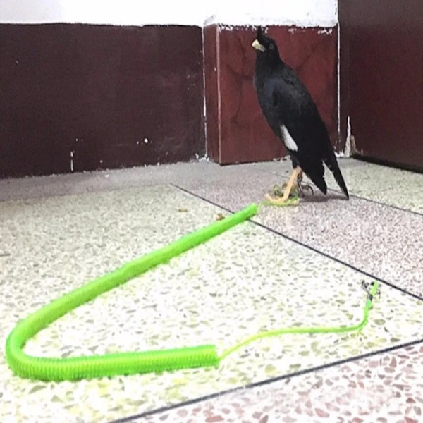3kpl Birds Flying Rope 3M5 5 3M5