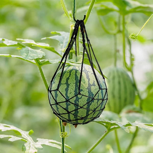 Melon Hammock Melon Cradle VALKOINEN white