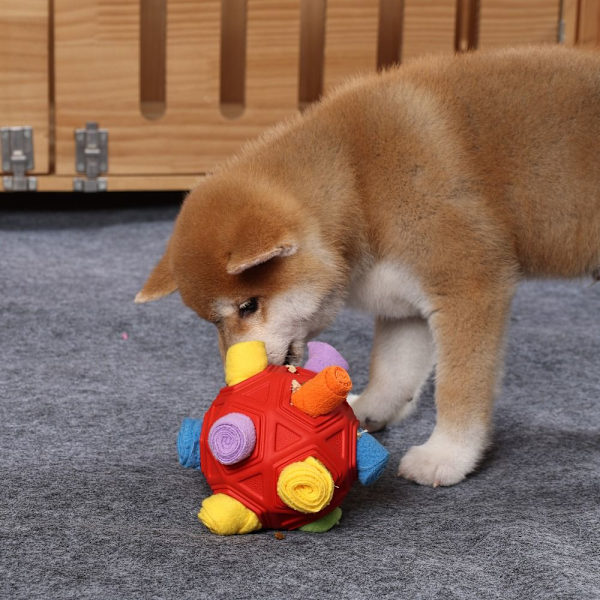 Snuffle Ball Legetøj Lækage Legetøjsbold C C C