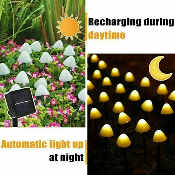 Mushroom Fairy Light Fairy String Lights VÄRIT-3.8M12LED Colorful-3.8M12LED