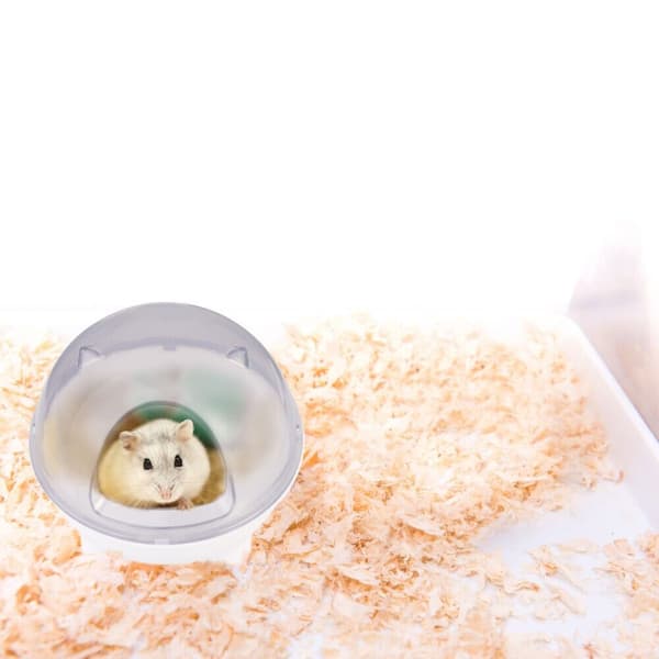 Hamsterbadekar Sandbalje Husdyrbadekar BLÅT Blue