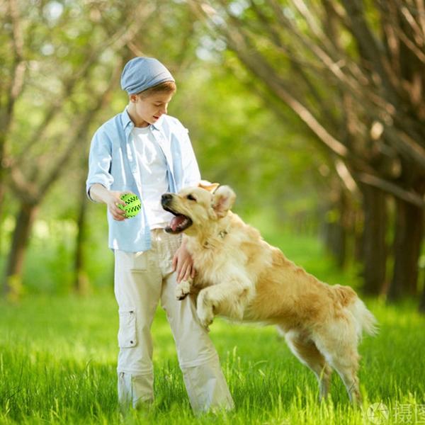 Pet Silikon Leke Tygge Leke SKY BLUE sky blue