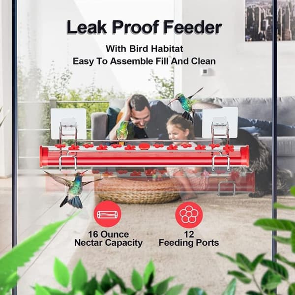 Hummingbird Feeder Birds Matning A A A
