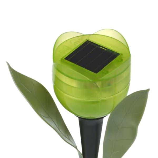 2kpl Tulppaanit Solar GREEN Green
