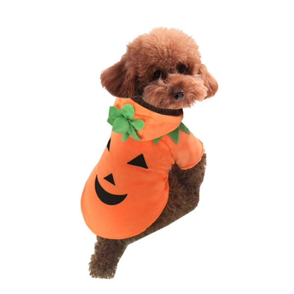 Lemmikkien vaatteet Halloween Cosplay M M