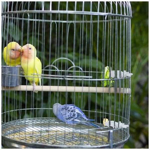 4st Bird Cage Clips Bird Cage Feeder Papegoja