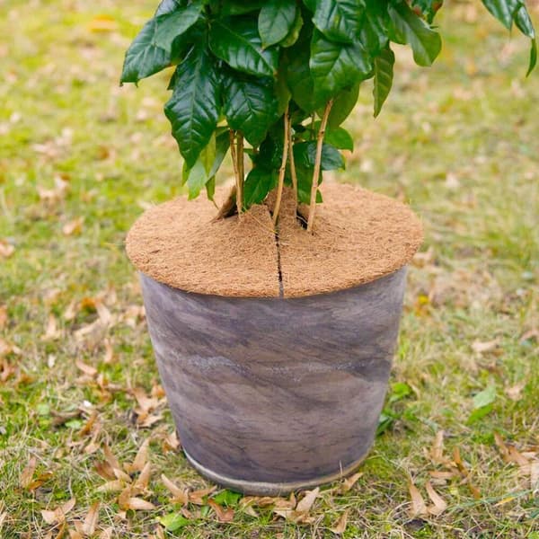2st Cover Mulch Grässäker Dyna 37CM2ST 2ST 37cm2Pcs