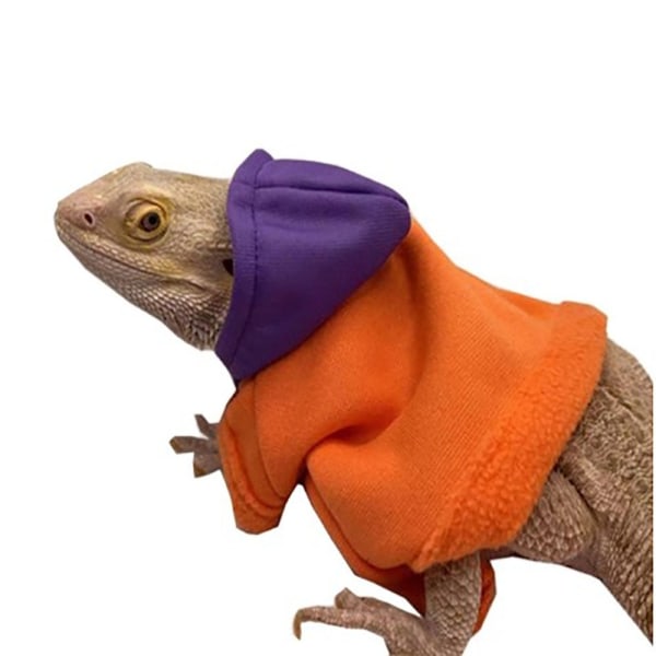Bearded Dragon Costume Lizards Hættetrøje frakke LILLA ORANGE LILLA Purple orange